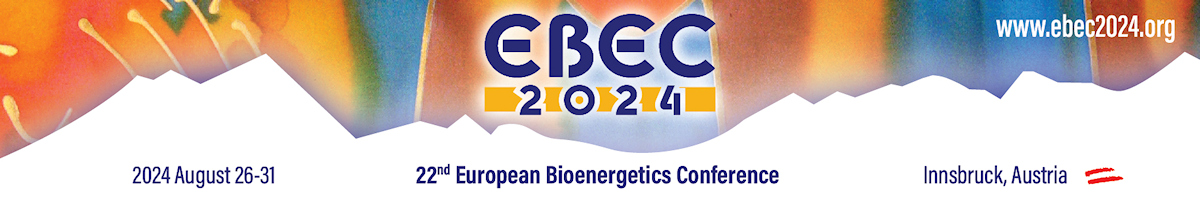 Logo EBEC2024
